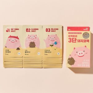 M Factory 3段 Dwaeji鼻贴 面膜10片装