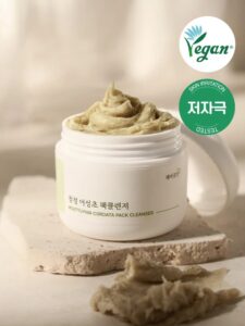 CHAEBGONGGAN Cheong片鱼腥草 Paekkeulrenjeo 面膜45g