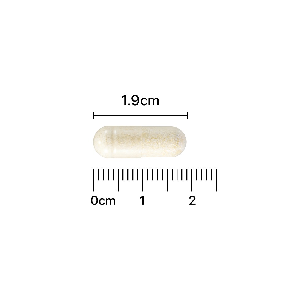 MasterBiome 双支装Maseuteo 肠道与皮肤益生菌 1个月量