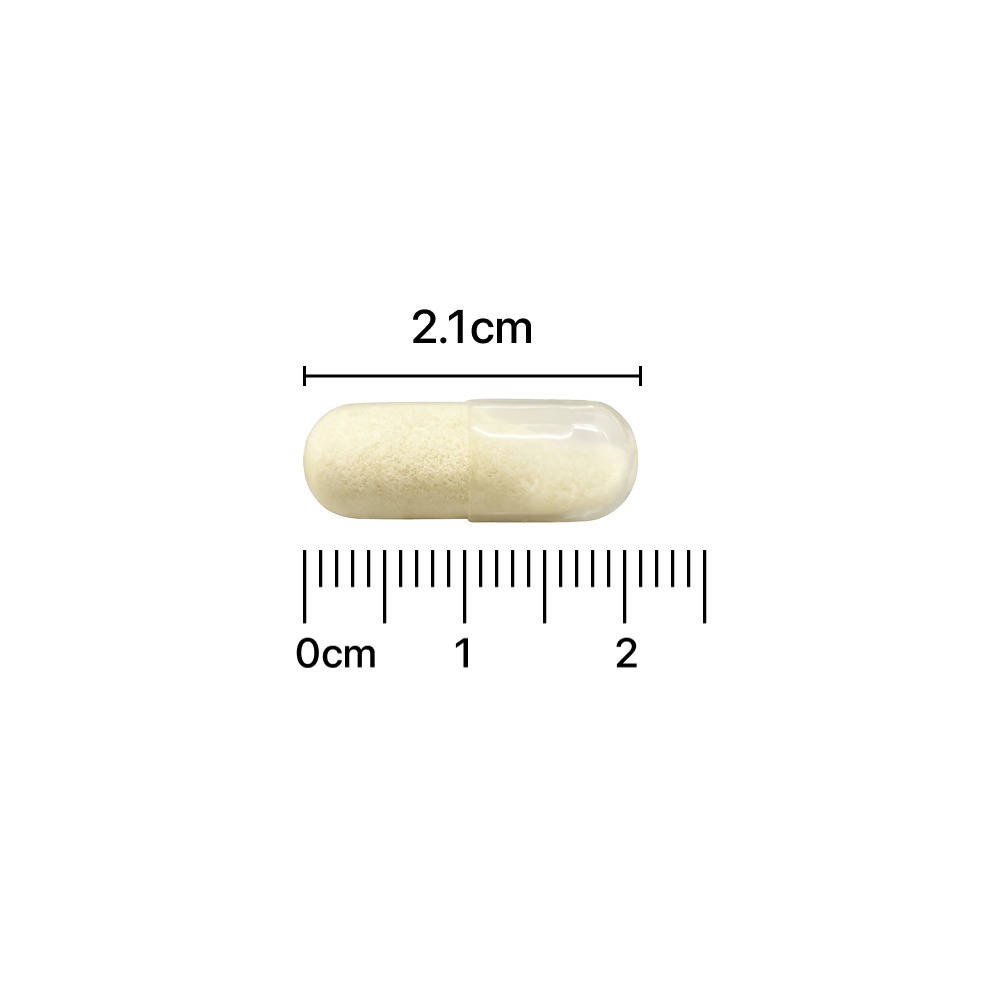 Dambaekharu Teuraenjit 100Eok 益生菌 30粒 (1个月量)