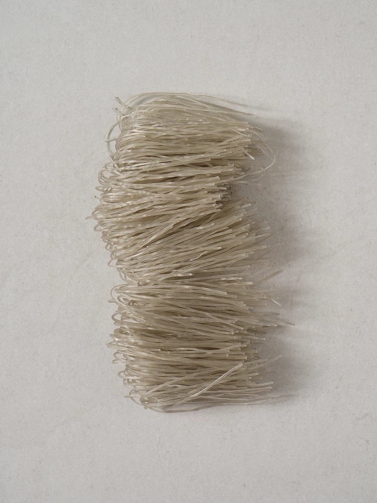 Ottogi Yetnal Sari Dangmyeon 100g