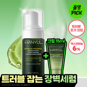 [10月 Olive Young精选][NEW] 韩律 艾草泛醇 修护保湿 舒缓气泡精华 90ml 企划装 (+面霜 15ml)